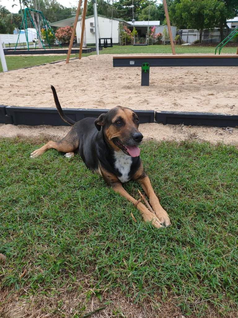 Athena Playing
